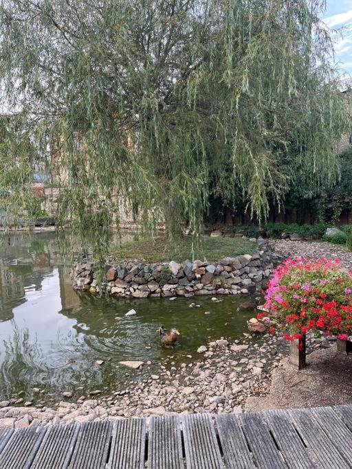 La Maison Du Perche Avec Jacuzzi Saint-Martin-des-Pezerits المظهر الخارجي الصورة